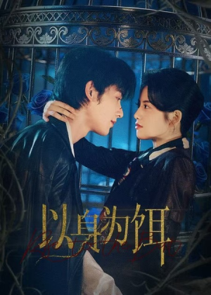 以身为饵（61集）热播短剧免费看