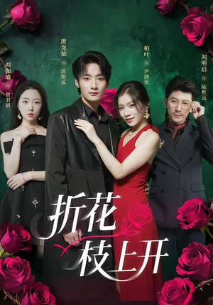 折花枝上开(51集) 折花枝上开(51集)热门短剧分享