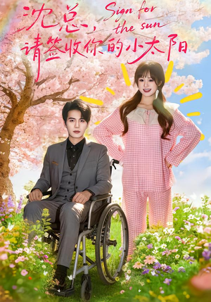 沈总，请签收你的小太阳（80集）网上可以看吗