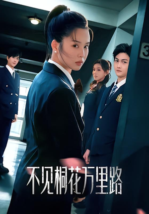 不见桐花万里路（71集）追短剧看全集