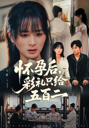 怀孕后,彩礼只给五百二(40集) 怀孕后,彩礼只给五百二(40集)短剧在线观看