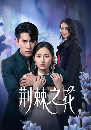 荆棘之花（100集）全集下载