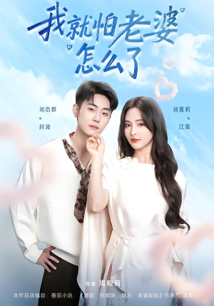 我就怕老婆怎么了（88集）高分佳作免费看