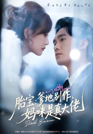胎宝：爹地别作，妈咪是真大佬（60集）在线观看