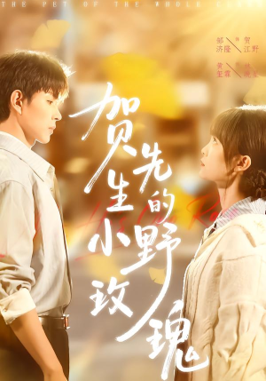 贺先生的小野玫瑰（99集）这短剧太好看了