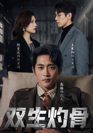 双生灼骨（60集）高分佳作免费看