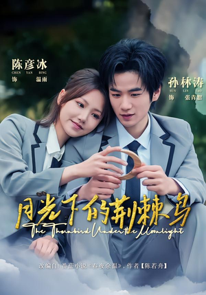 月光下的荆棘鸟(80集) 月光下的荆棘鸟(80集)一起追短剧吧