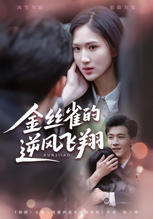 金丝雀的逆风飞翔(80集) 金丝雀的逆风飞翔(80集)番茄短剧看全集