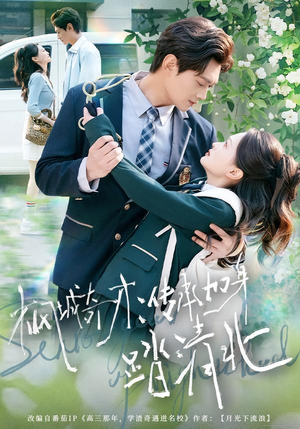 枫城奇才:传承加身踏清北(80集) 枫城奇才:传承加身踏清北(80集)精彩短剧后续