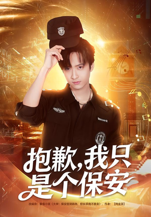 抱歉，我只是个保安（71集）百度网盘资源
