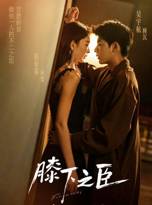 膝下之臣(56集) 膝下之臣(56集)精彩短剧后续