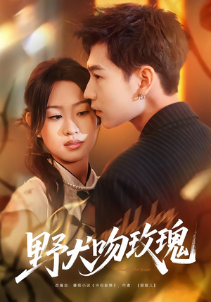 野犬吻玫瑰(70集) 野犬吻玫瑰(70集)排行榜前十短剧