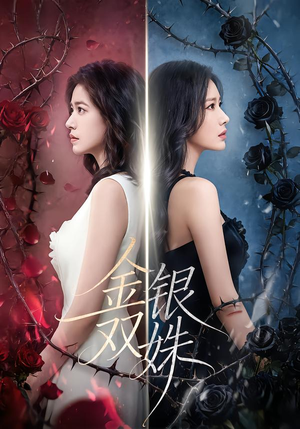 金银双姝（80集）短剧推荐上热门