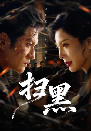 扫黑(70集) 扫黑(70集)好看短剧抢先看