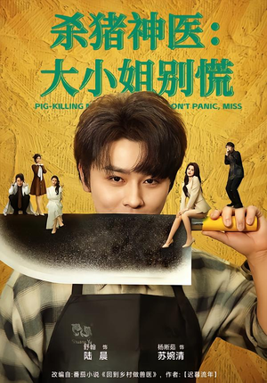 杀猪神医，大小姐别慌（80集）抢先看热门短剧