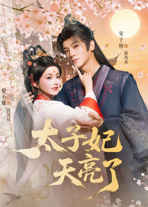 太子妃天亮了（80集）女主角是谁