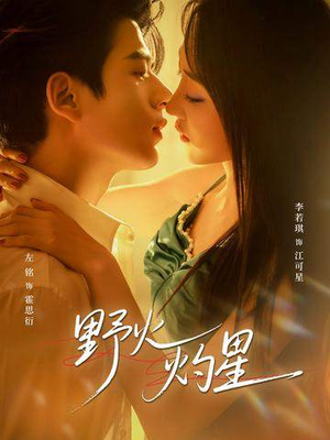 野火灼星（56集）短剧排行榜