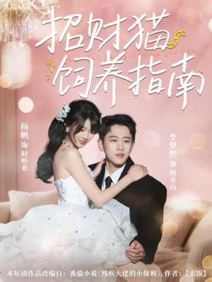 招财猫饲养指南(92集) 招财猫饲养指南(92集)短剧在线观看