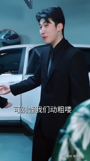 归来即巅峰,横压天下无敌(77集) 归来即巅峰,横压天下无敌(77集)热门短剧大全