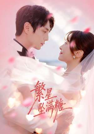 繁星坠满糖（75集）经典老剧免费看