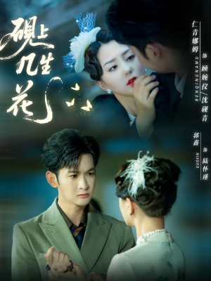 砚上几生花(62集) 砚上几生花(62集)短剧在线观看