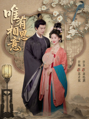 唯有相思意（100集）短剧全集完整