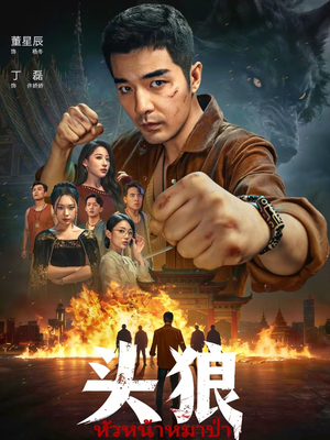 头狼（77集）一口气看完全集