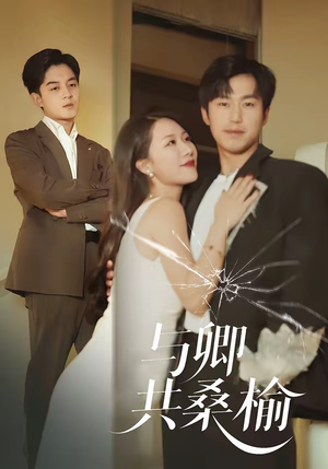 与卿共桑榆（63集）不用花钱看全剧