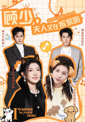 顾少，夫人又在拆家啦（78集）迅雷网盘观看