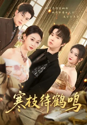 寒枝待鹤鸣（70集）短剧追不停