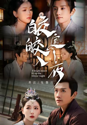 皎皎入寒夜（88集）迅雷网盘观看