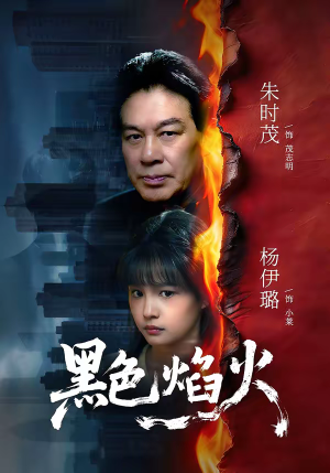 黑色焰火（41集）短剧在线更新