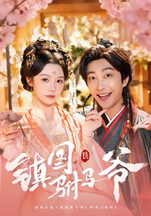 镇国驸马爷（92集）精彩的网络短剧