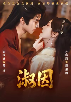 淑因（65集）解说文案