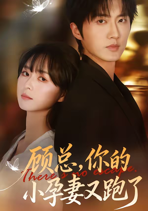 顾总,你的小孕妻又跑了(47集) 顾总,你的小孕妻又跑了(47集)爆火短剧追不停