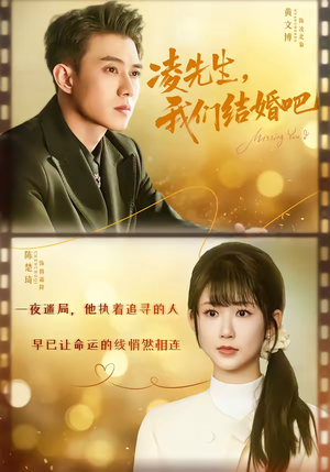 凌先生,我们结婚吧(68集) 凌先生,我们结婚吧(68集)女频短剧推荐