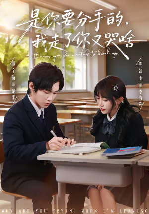 是你要分手的,我走了你又哭啥(83集) 是你要分手的,我走了你又哭啥(83集)真的好看吗