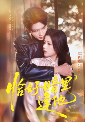 恰好暗里逢他（66集）短剧排行榜