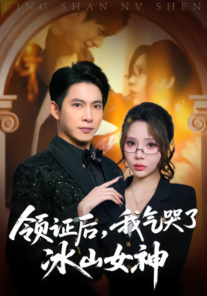 领证后，我气哭了冰山女神（60集）全剧看到大结局