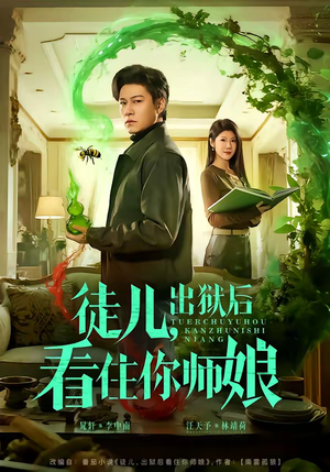 徒儿，出狱后看住你师娘（82集）免费短剧大全