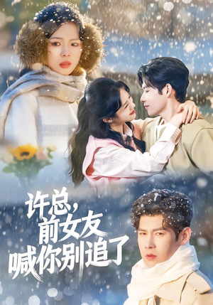 许总，前女友喊你别追了（80集）短剧推荐更新中