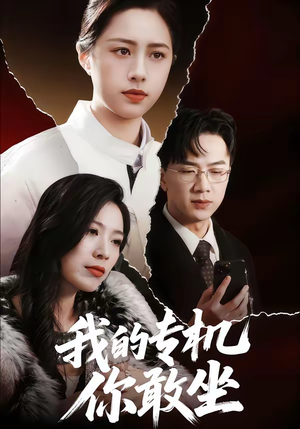 我的专机你敢坐(62集) 我的专机你敢坐(62集)最热短剧抢先看