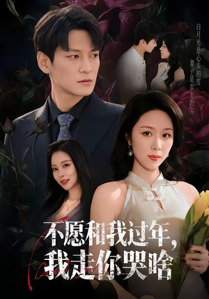 不愿和我过年，我走你哭啥（74集）恋爱短剧分享