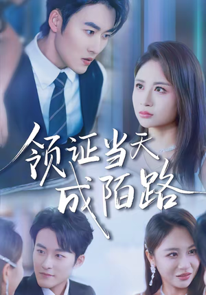 领证当天成陌路（39集）甜宠短剧追到爽