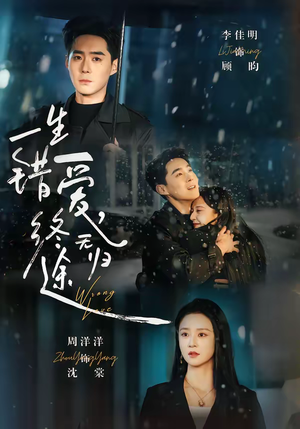 一生错爱，终无归途（74集）更新时间一览表