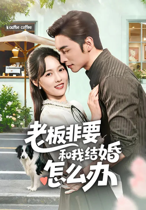 老板非要和我结婚怎么办(50集) 老板非要和我结婚怎么办(50集)短剧热门推荐