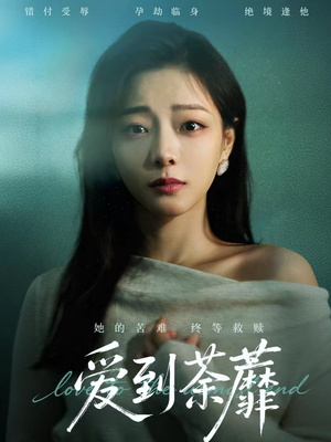 爱到荼蘼(63集) 爱到荼蘼(63集)超火热门短剧