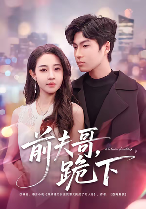 前夫哥,跪下(58集) 前夫哥,跪下(58集)迅雷网盘观看