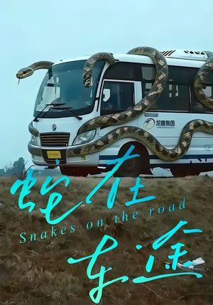蛇在车途（34集）热门爆款短剧