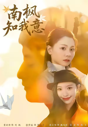 南枫知我意(41集) 南枫知我意(41集)高分佳作免费看